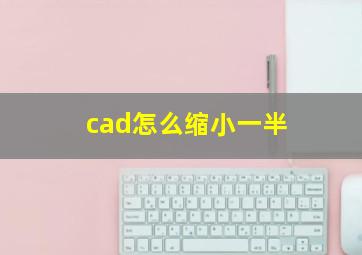 cad怎么缩小一半