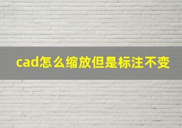 cad怎么缩放但是标注不变