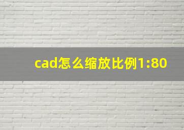 cad怎么缩放比例1:80