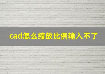 cad怎么缩放比例输入不了