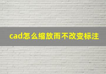 cad怎么缩放而不改变标注