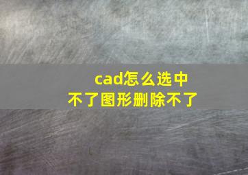 cad怎么选中不了图形删除不了