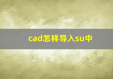 cad怎样导入su中