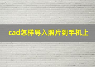 cad怎样导入照片到手机上