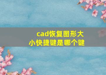 cad恢复图形大小快捷键是哪个键