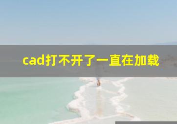 cad打不开了一直在加载