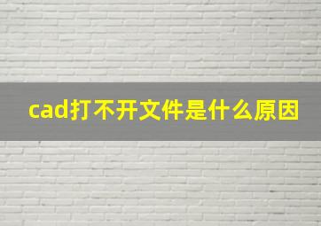 cad打不开文件是什么原因