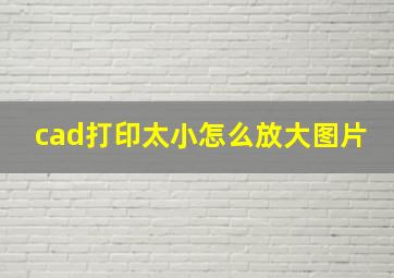 cad打印太小怎么放大图片