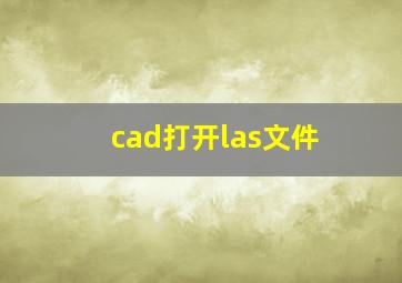 cad打开las文件