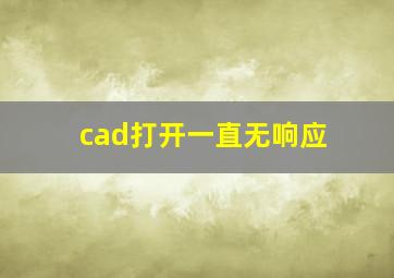 cad打开一直无响应