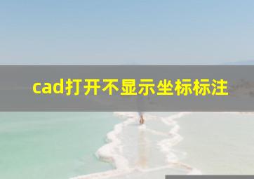 cad打开不显示坐标标注