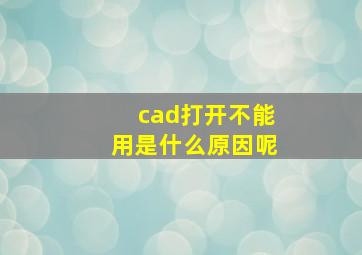 cad打开不能用是什么原因呢