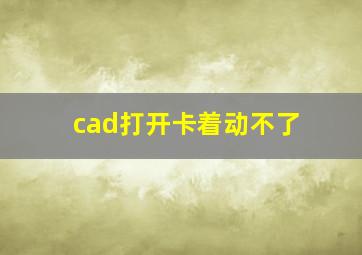 cad打开卡着动不了