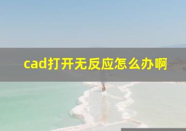 cad打开无反应怎么办啊