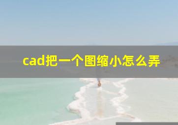 cad把一个图缩小怎么弄