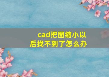 cad把图缩小以后找不到了怎么办