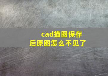 cad描图保存后原图怎么不见了