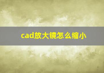 cad放大镜怎么缩小