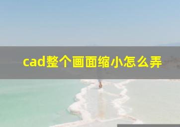 cad整个画面缩小怎么弄