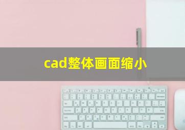 cad整体画面缩小