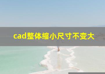 cad整体缩小尺寸不变大