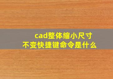 cad整体缩小尺寸不变快捷键命令是什么