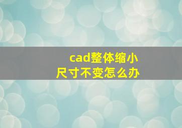 cad整体缩小尺寸不变怎么办