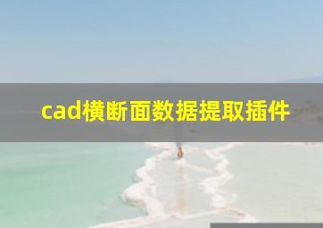 cad横断面数据提取插件