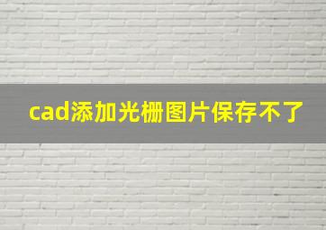 cad添加光栅图片保存不了