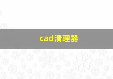 cad清理器