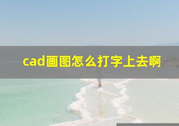 cad画图怎么打字上去啊