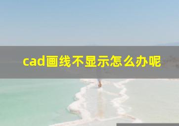 cad画线不显示怎么办呢