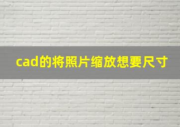 cad的将照片缩放想要尺寸