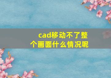 cad移动不了整个画面什么情况呢