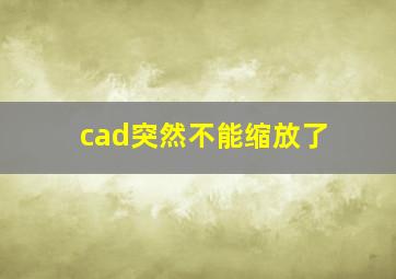 cad突然不能缩放了