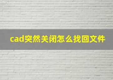 cad突然关闭怎么找回文件