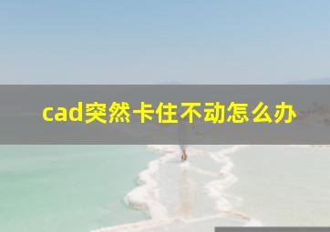 cad突然卡住不动怎么办