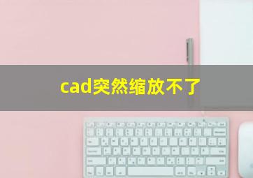 cad突然缩放不了