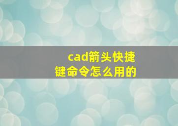 cad箭头快捷键命令怎么用的