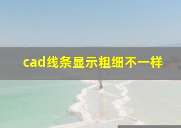 cad线条显示粗细不一样