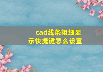 cad线条粗细显示快捷键怎么设置