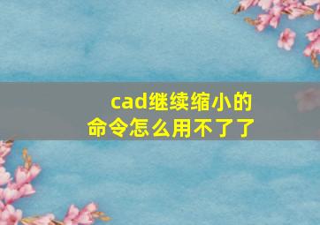 cad继续缩小的命令怎么用不了了