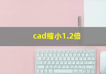 cad缩小1.2倍