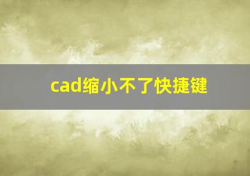 cad缩小不了快捷键