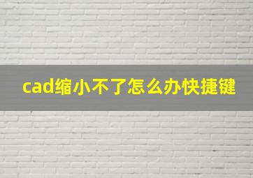 cad缩小不了怎么办快捷键