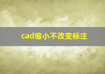 cad缩小不改变标注