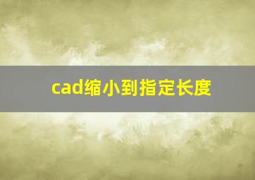 cad缩小到指定长度