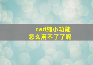 cad缩小功能怎么用不了了呢