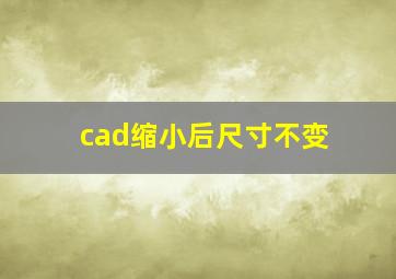 cad缩小后尺寸不变