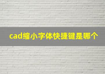 cad缩小字体快捷键是哪个